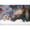 Star Wars - A Hoth ostroma (magyar) társasjáték