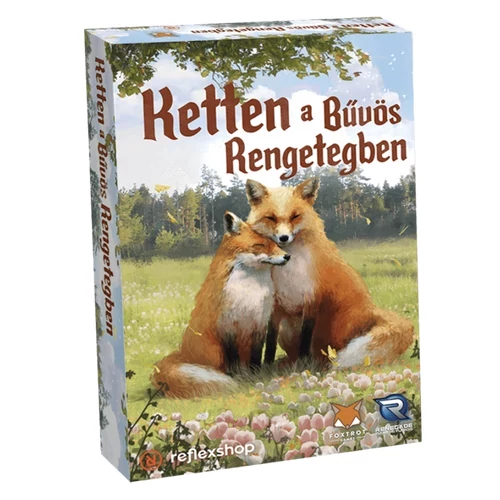 Ketten a Bűvös Rengetegben - bontott játék 